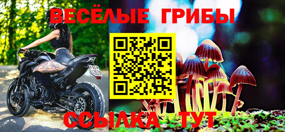 Тосно  Галлюциногенные грибы MAGIC MUSHROOMS  Вход с VPN  Псилоцибиновые грибы Psilocybe 