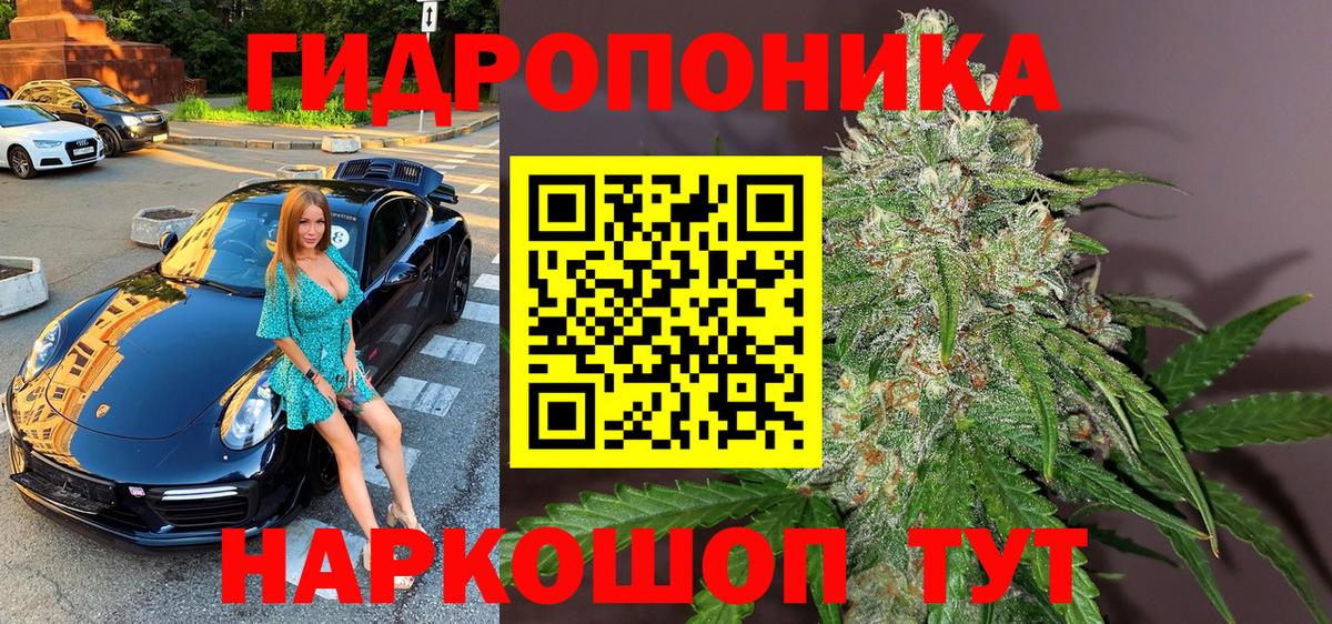 Марихуана индика  Вход с VPN  Тосно  МАРИХУАНА план  Марихуана SATIVA & INDICA 